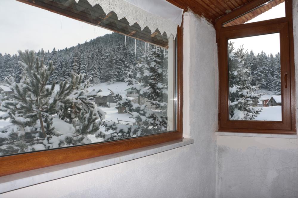 Sarı Alan Dağ Evi